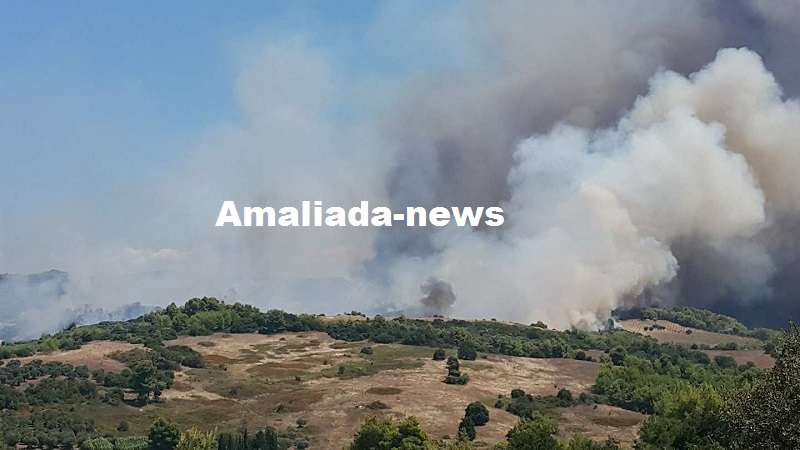 (Φώτο+Βίντεο)Πυρκαγιά σε εξέλιξη στο Κρυονέρι Αμαλιάδας-Εκκενώνεται το χωριό Ανάληψη( Νεότερη ενημέρωση)