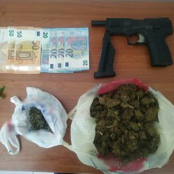 Συνελήφθη άνδρας για κατοχή και καλλιέργεια ναρκωτικών στην Ηλεία