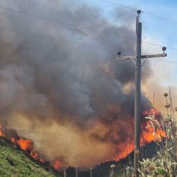 Νέα πυρκαγιά σε Μπόρσι – Σίμιζα. Τραυματίστηκε και δεύτερος πυροσβέστης στα Άγναντα